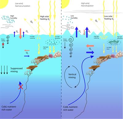 Marine Heatwave Hotspots in Coral Reef Environments: Physical Drivers, Ecophysiological Outcomes, and Impact Upon Structural Complexity